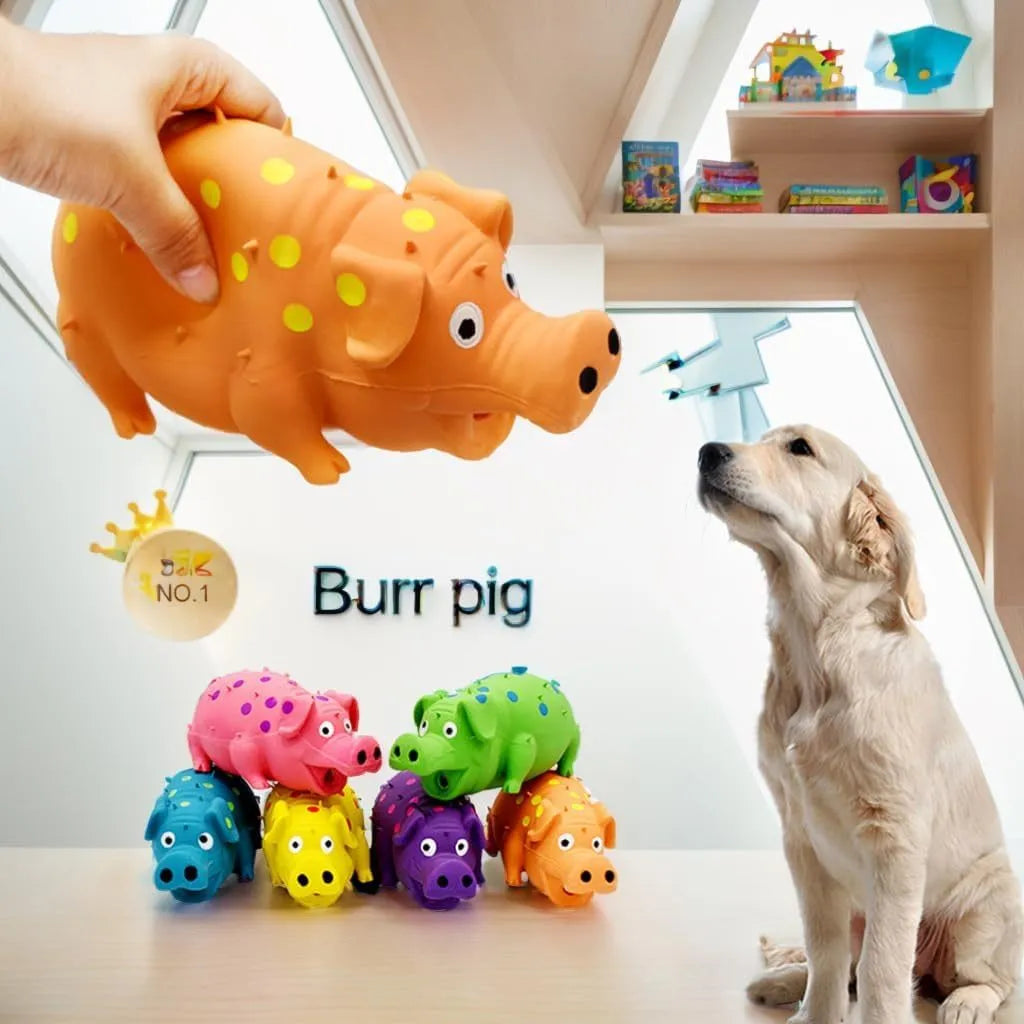 Pig-shaped squeaky dog chew toy in assorted colours for aggressive chewers