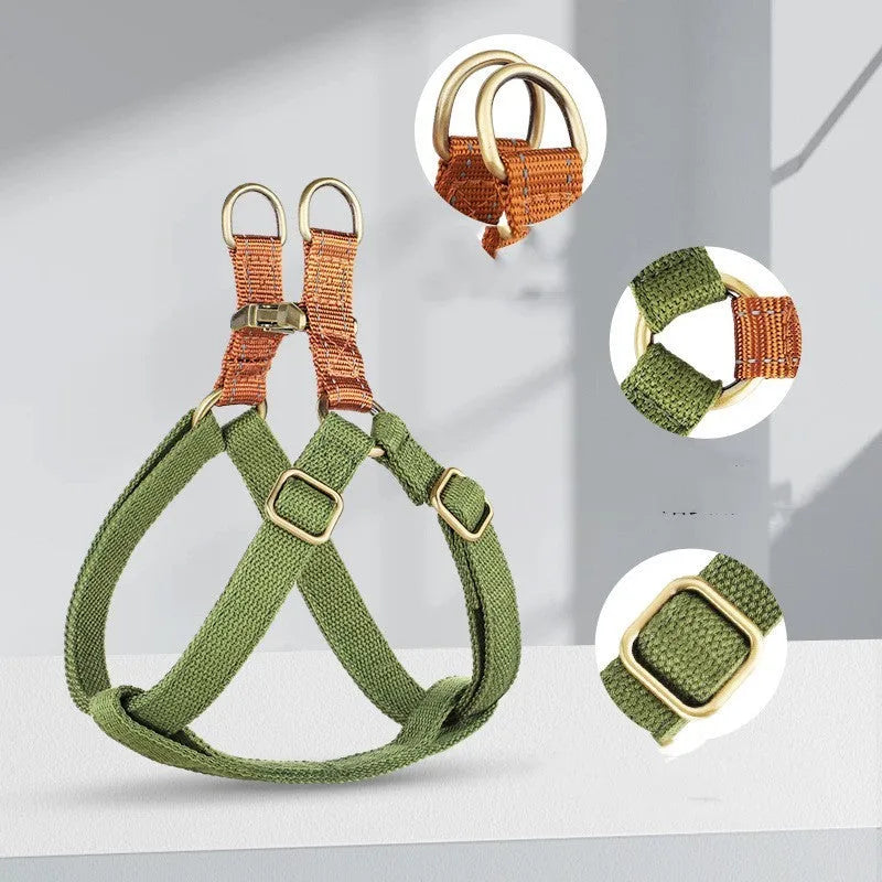 Brown vest style dog leash with alloy fastener shown on small dog