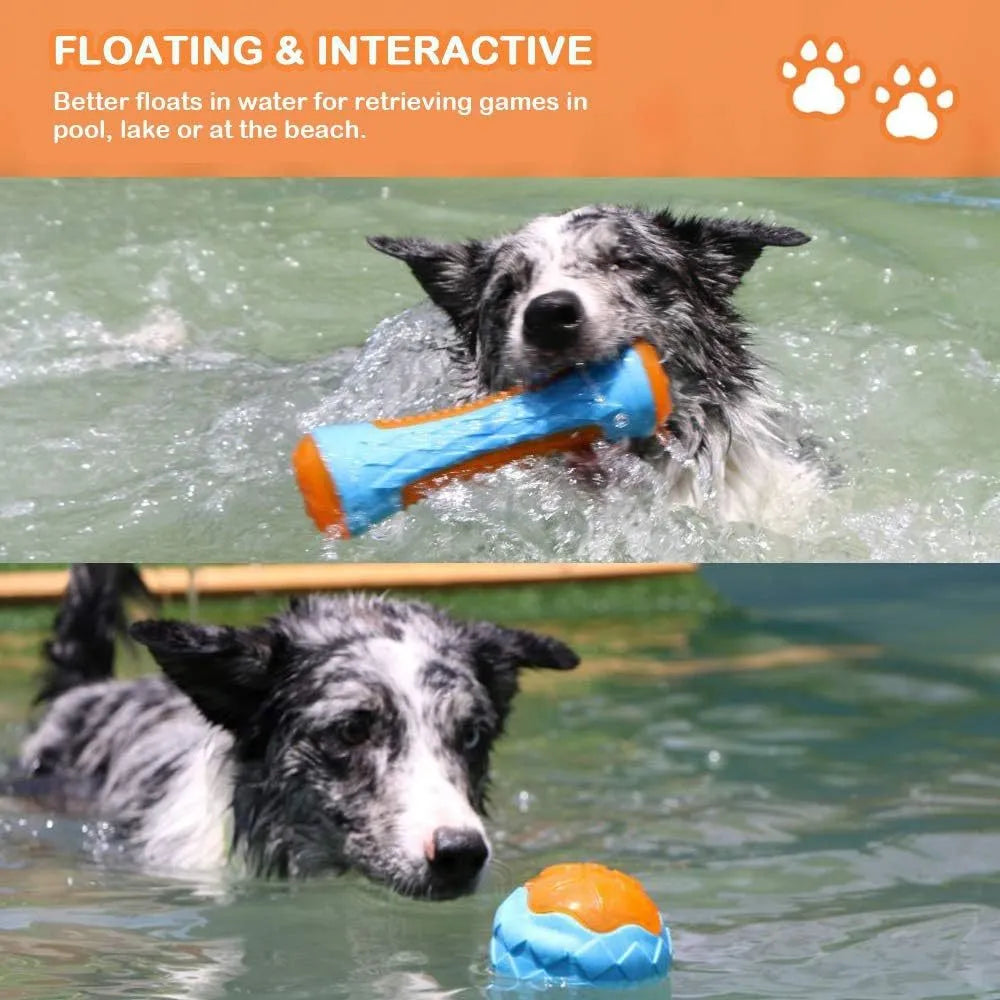Set of three floating dog toys: a blue squeaky ball, an orange barbell, and red tyres on a beach.