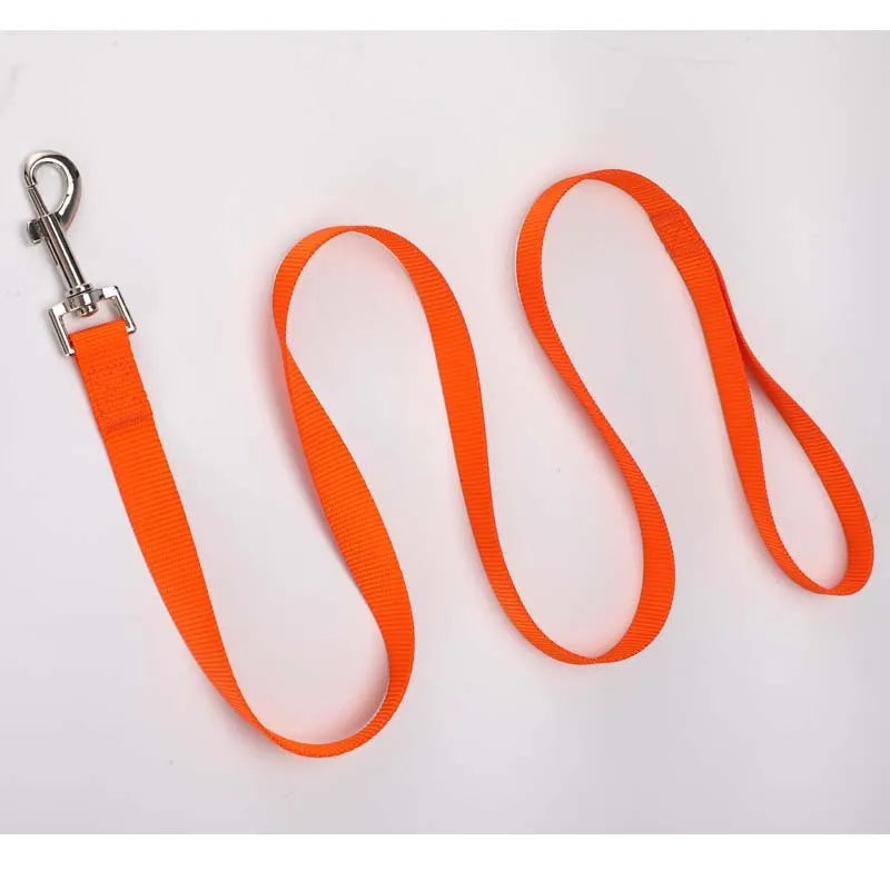 Solid colour nylon dog lead rope in blue, shown with a 120cm length and a hand holding it.