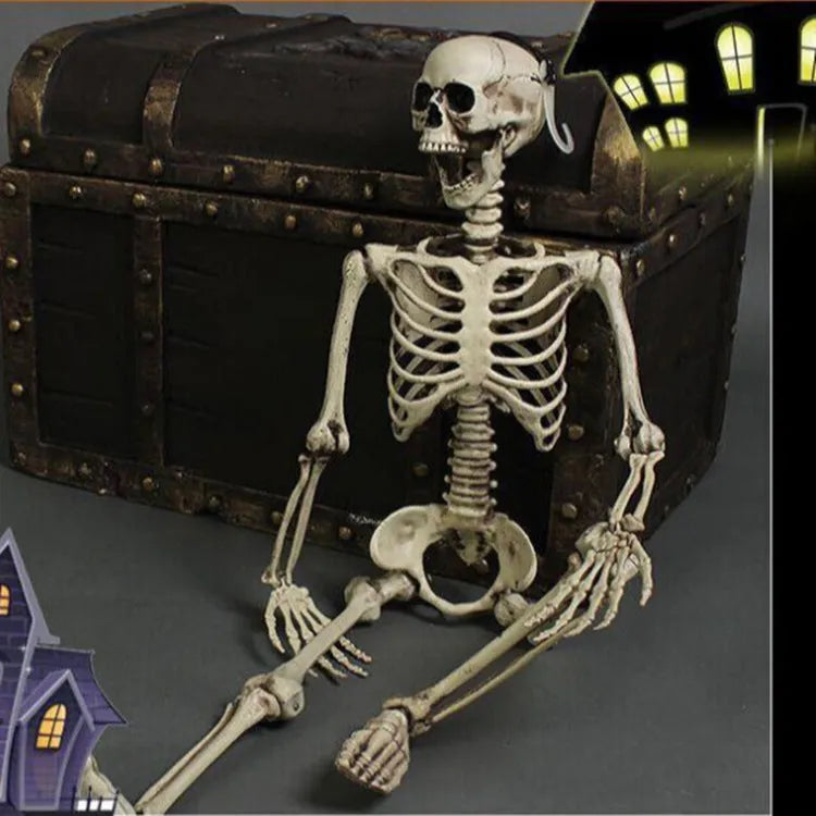 170cm tall plastic skeleton prop with detailed skull design for Halloween and event displays