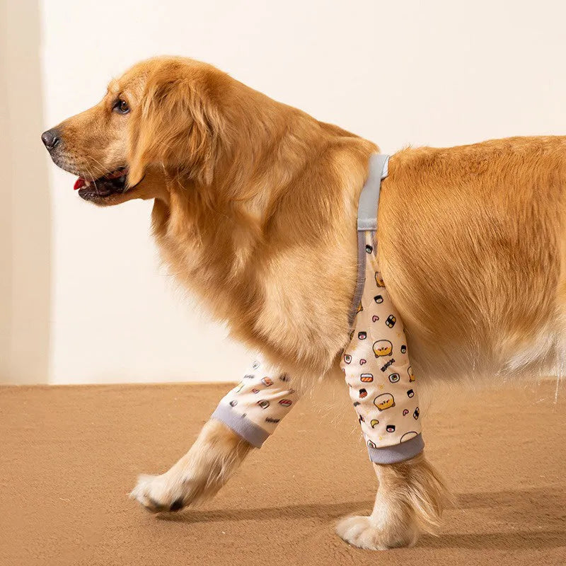 Dog wearing blue knee protector with padded elbow patch and matching scarf with dog print