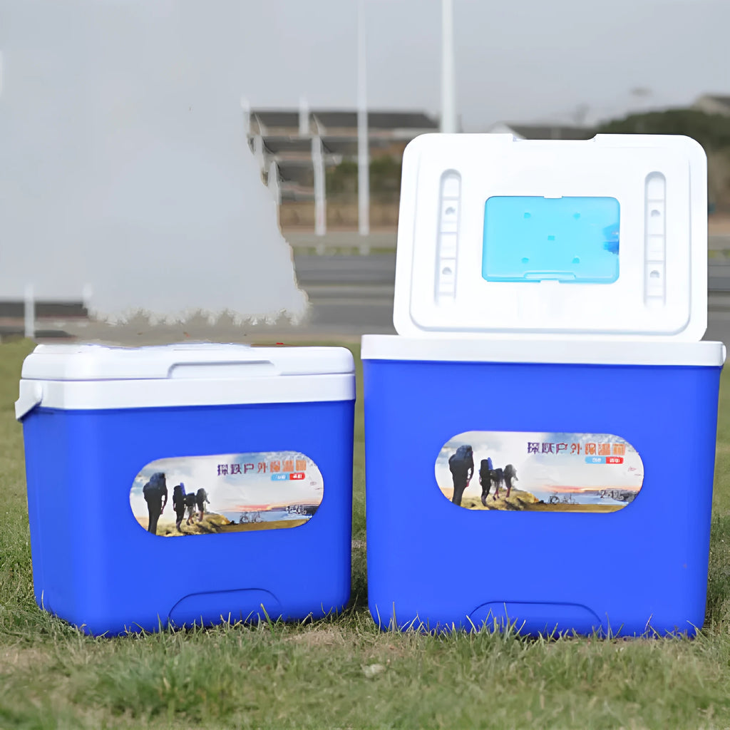 Blue portable insulated cooler box with aluminum foil finish available in multiple liter capacities for car and outdoor use