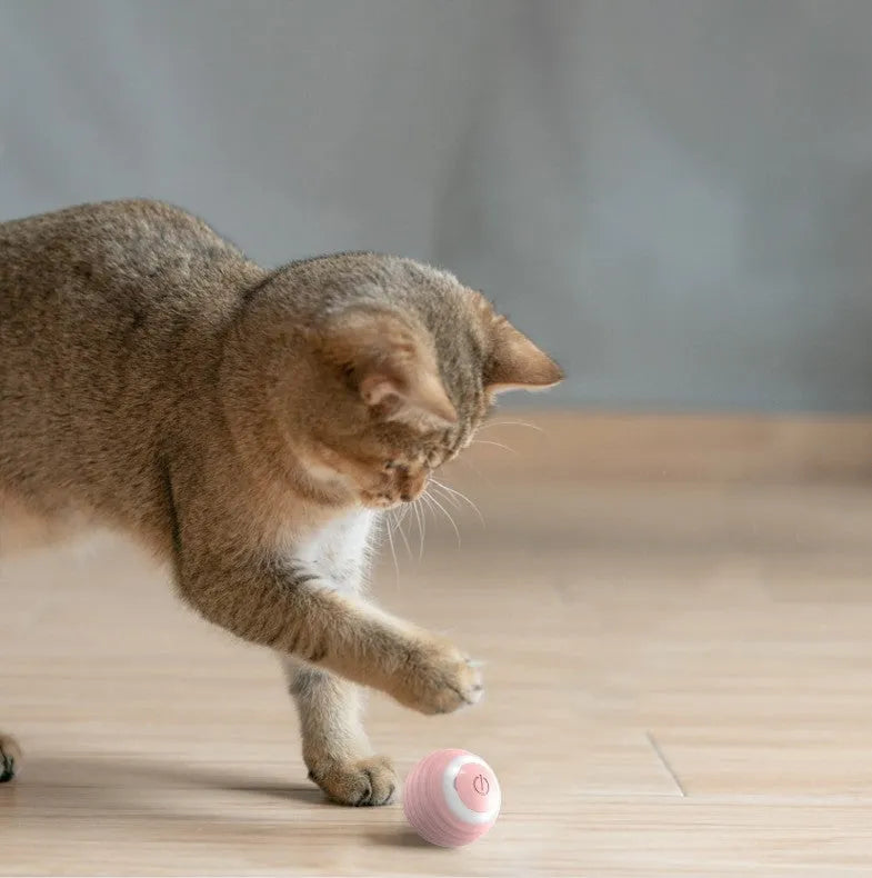 Blue rechargeable smart cat toy ball that moves automatically for indoor feline entertainment