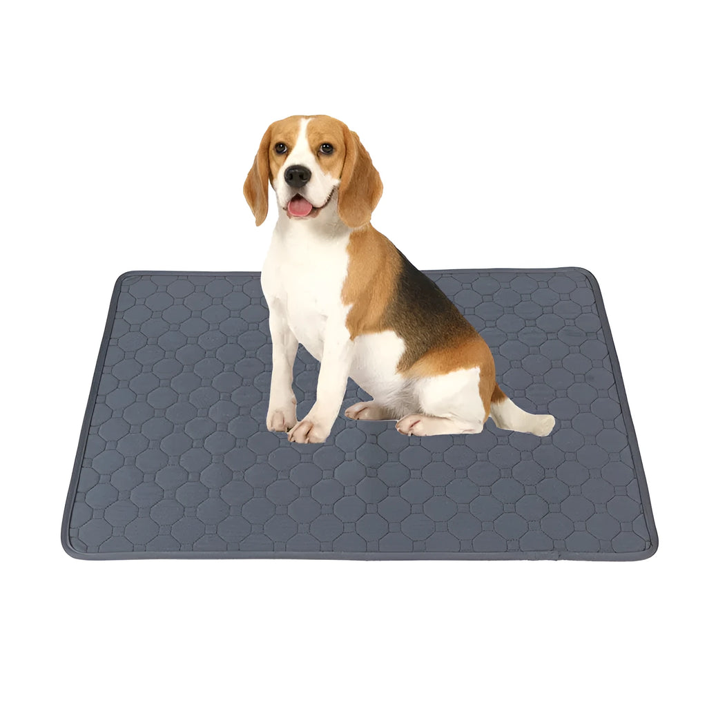 Set of two neutral-coloured washable dog pee pads on a wooden floor.