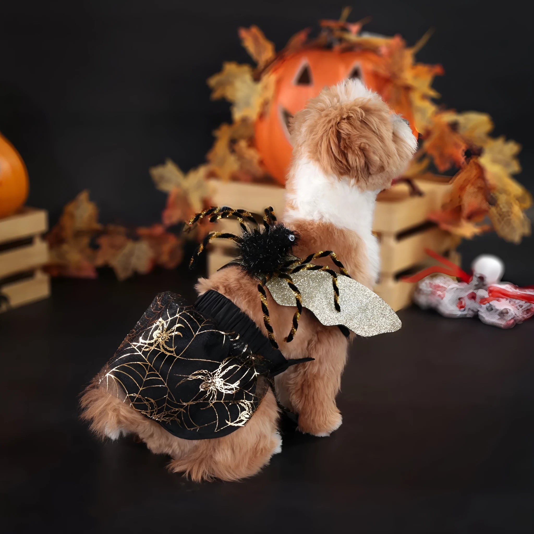 Black polyester pet Halloween suit costume for dogs in sizes S M L XL for party wear