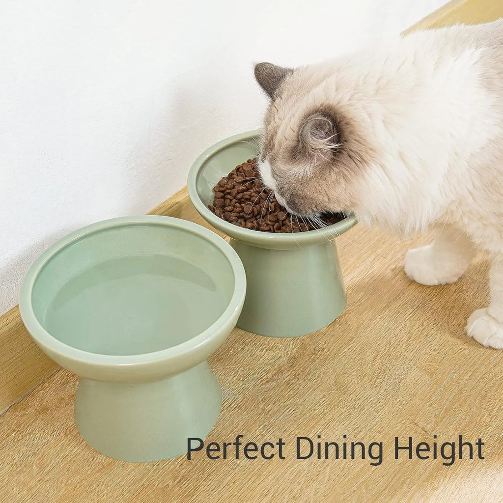 Ceramic elevated cat food and water bowls in blue, green, pink, and white colours