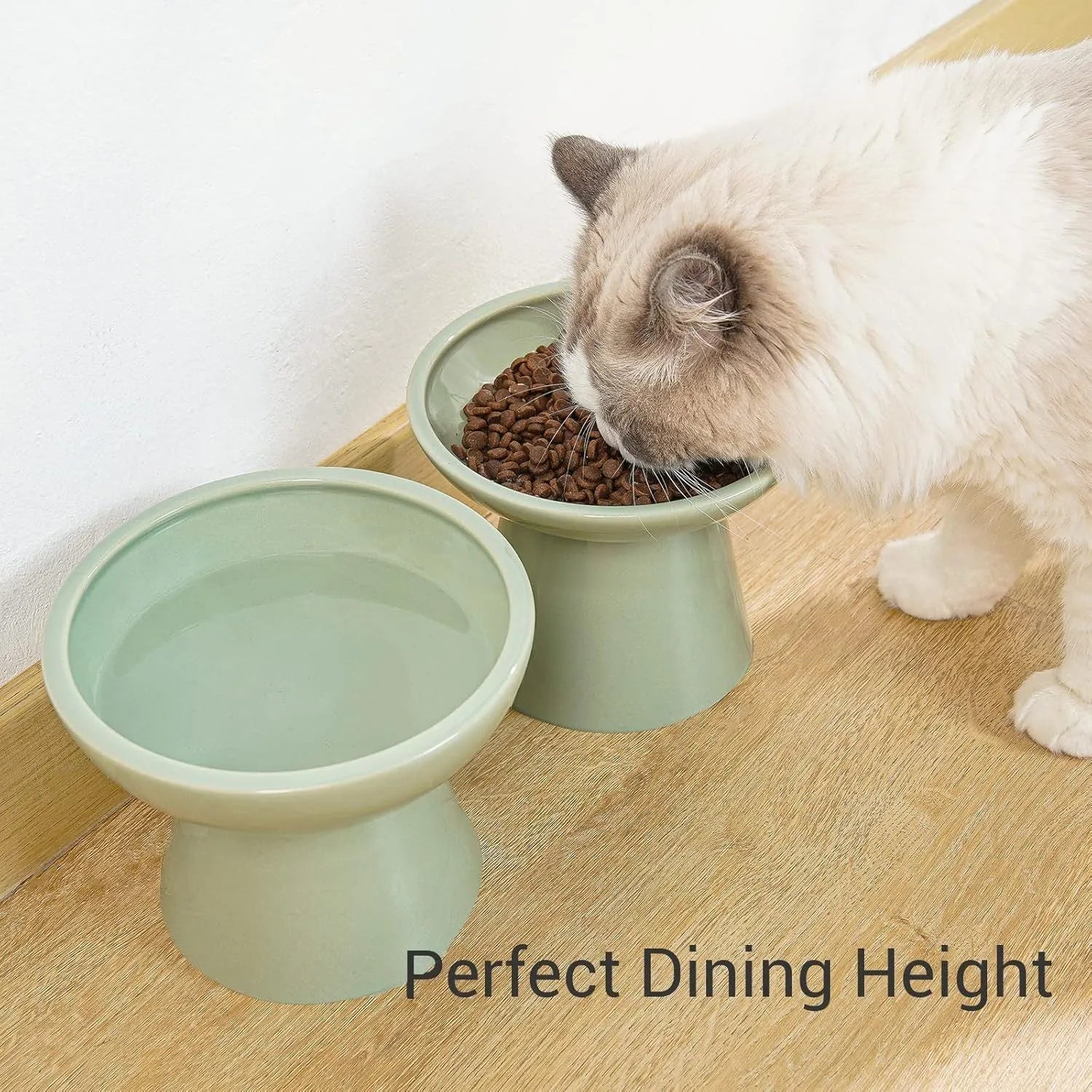 Ceramic elevated cat food and water bowls in blue, green, pink, and white colours