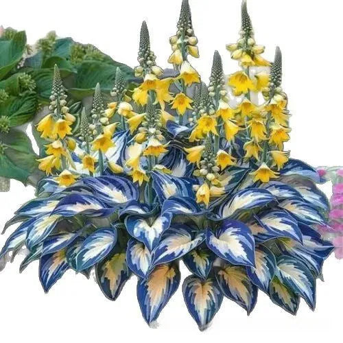 OPP packaged coloured leaves jade barrettes seeds in mixed styles