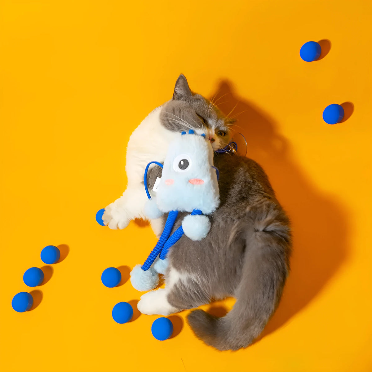 Blue telescopic elastic plush cat toy with a mint bell ring on a 30cm diameter loop.