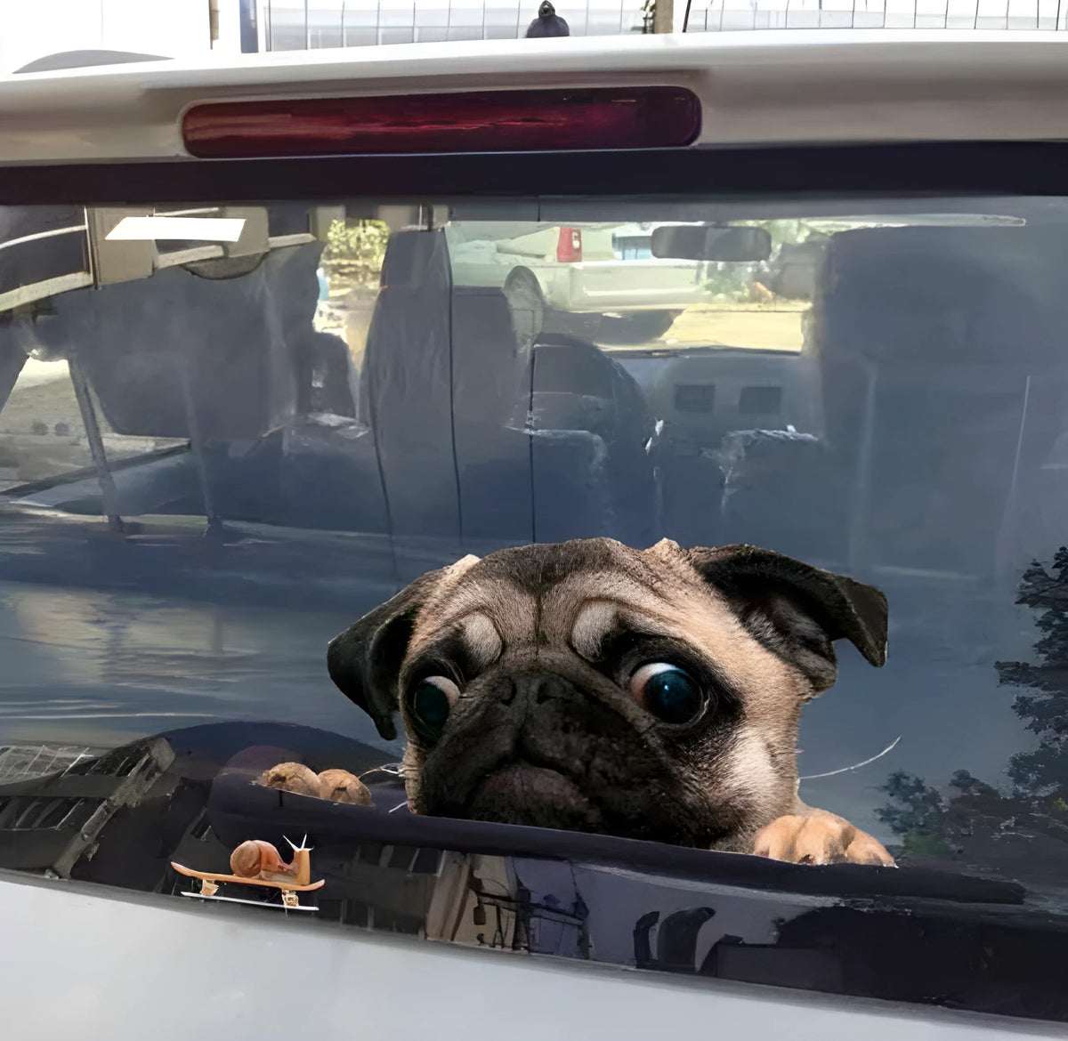 S-53 pug watch snail 3D cartoon sticker in pet material, 30 x 20cm, for car windows and notebooks.