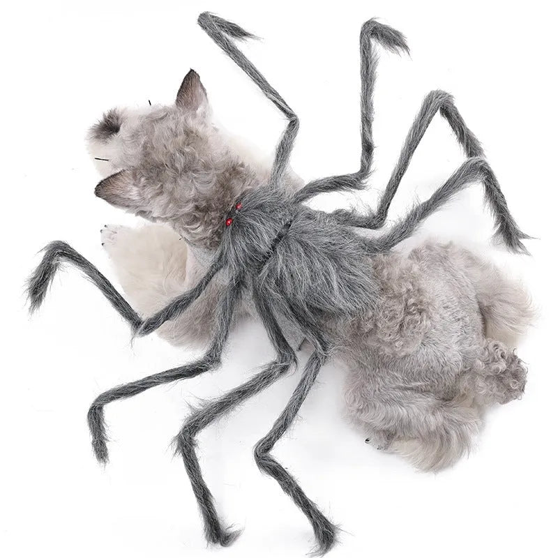 Halloween pet spider costume for dogs and cats in four colour options