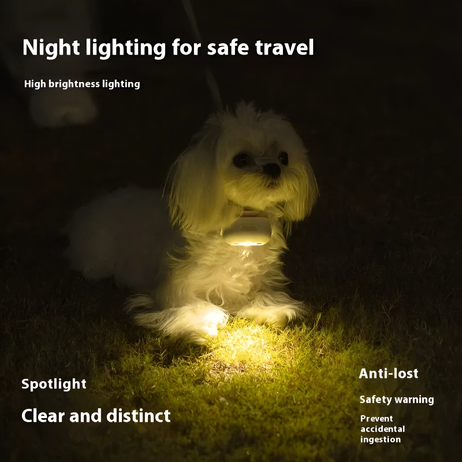 Pet luminous collar LED hanging lamp ring in four colour options with themed patterns for dogs