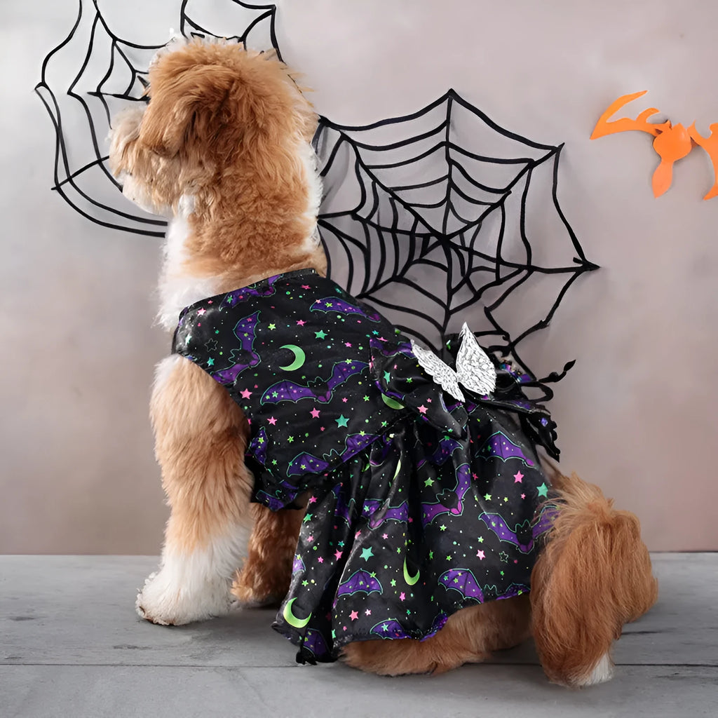 Orange or black angel wings Halloween costume for a dog, made from polyester.
