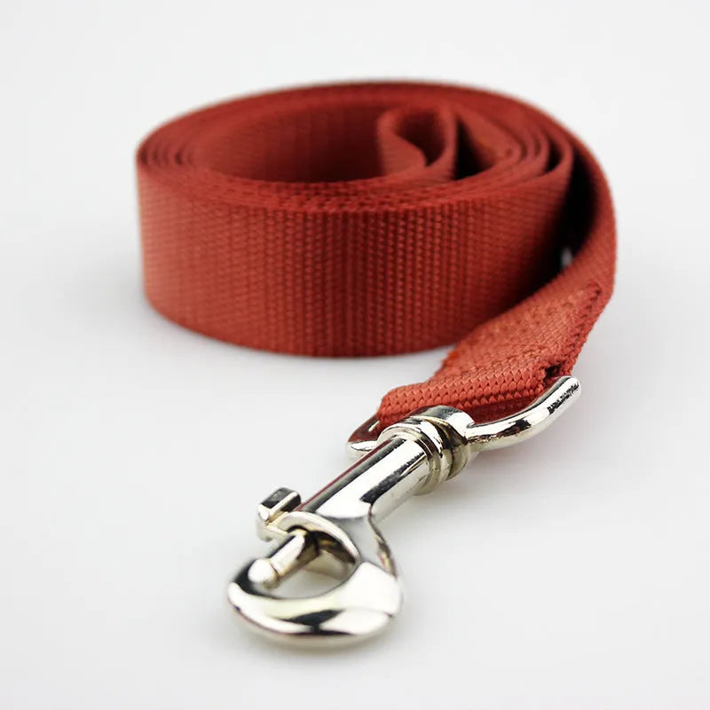 Solid colour nylon dog lead rope in blue, shown with a 120cm length and a hand holding it.