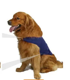Dog wearing brown brocade cotton tank top for separation anxiety relief