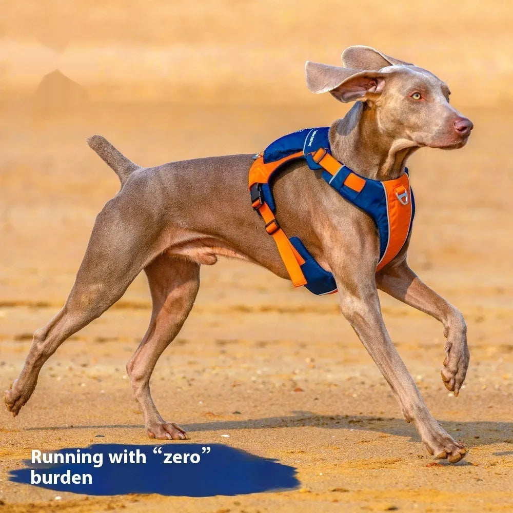 Orange blue adjustable nylon dog chest harness vest showing vest-style design with chest strap