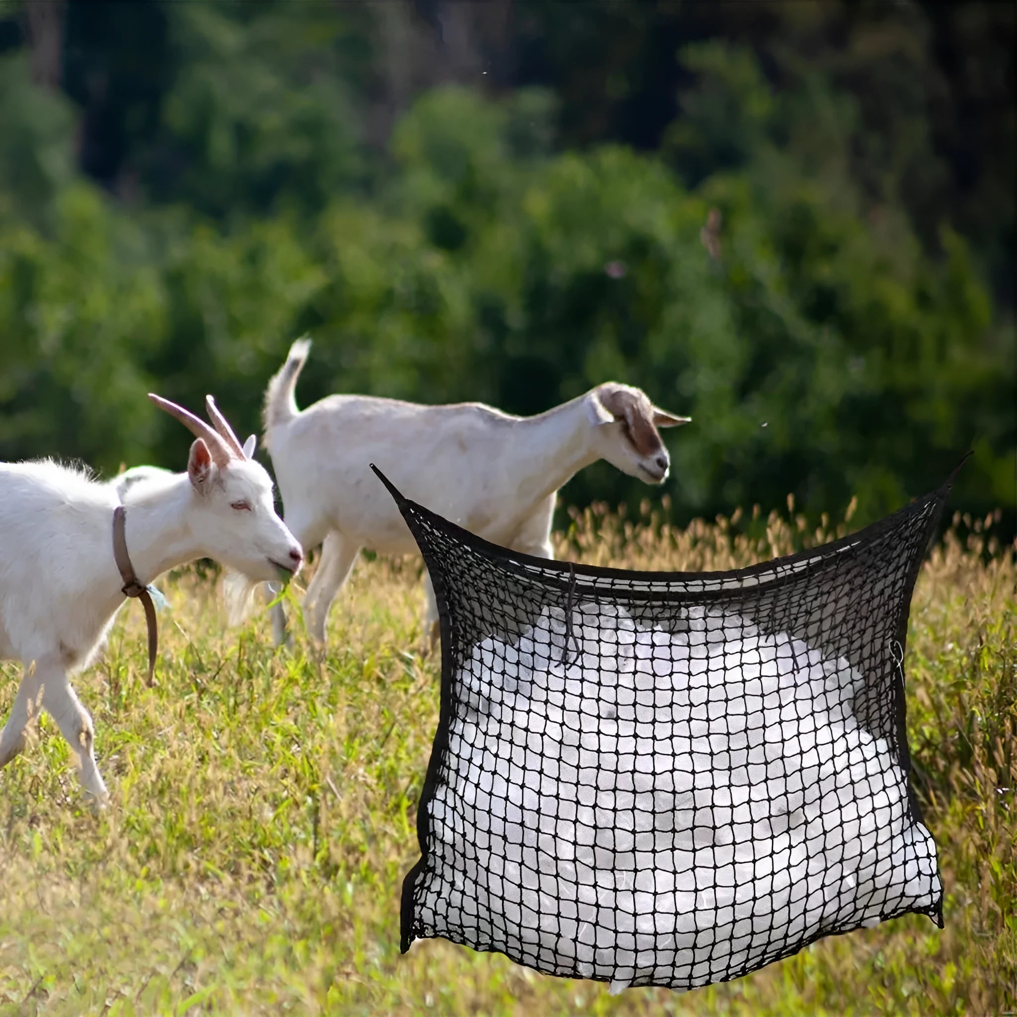 Black woven PE rope grid hanging feeding bag for horses and livestock.
