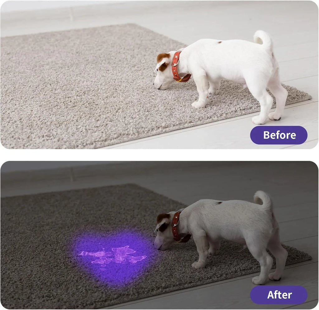 Black aluminium UV flashlight with purple LED for detecting pet stains and pests