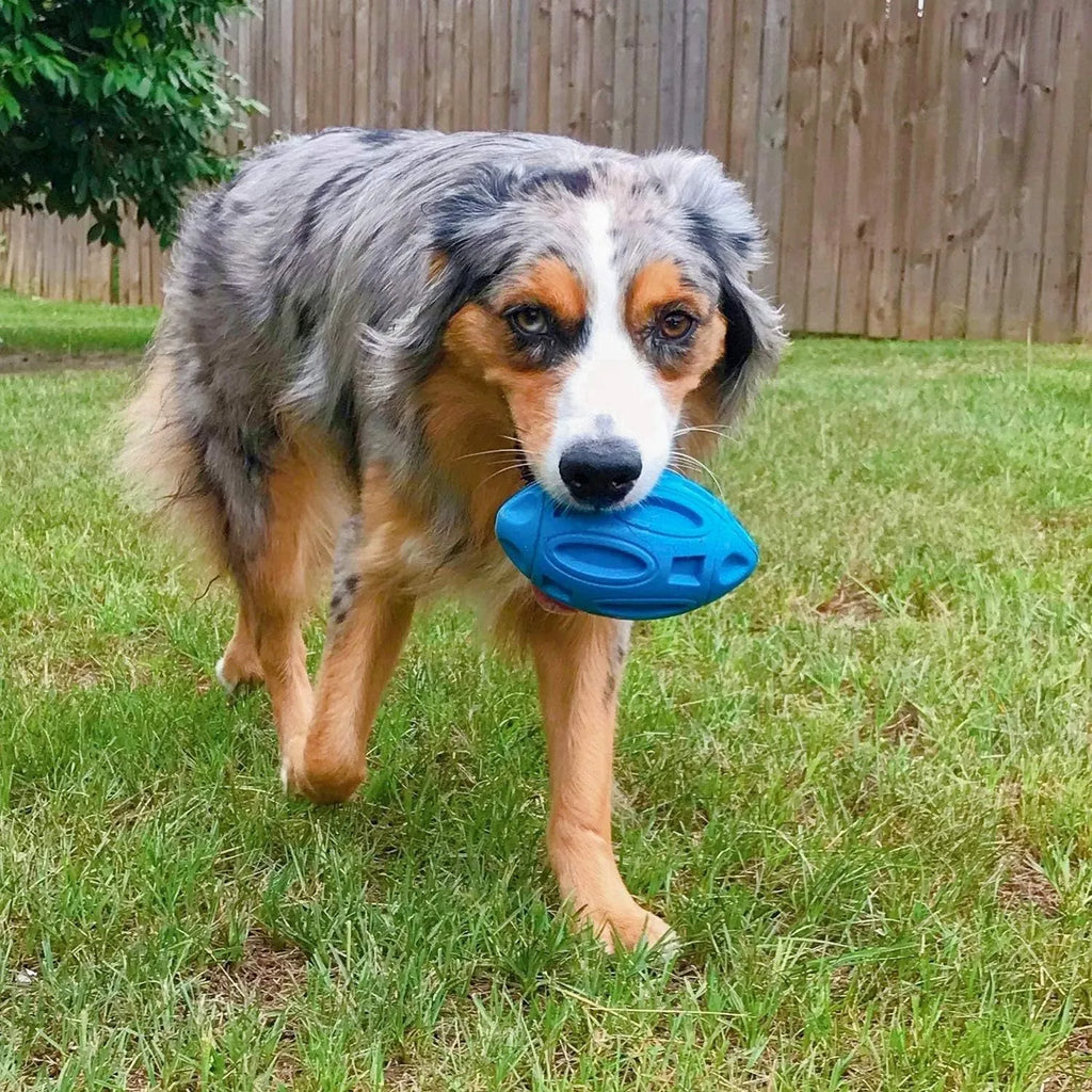 Natural rubber squeaky dog toy with surface grooves for aggressive chewers in blue, green, or orange