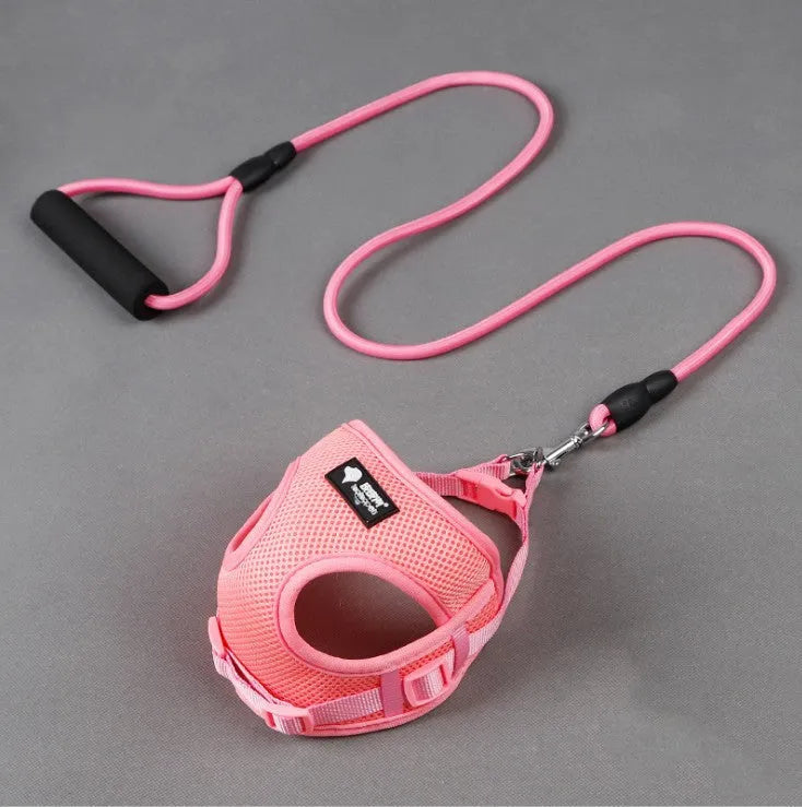 Blue dog leash with foam handle and matching adjustable collar for a small dog