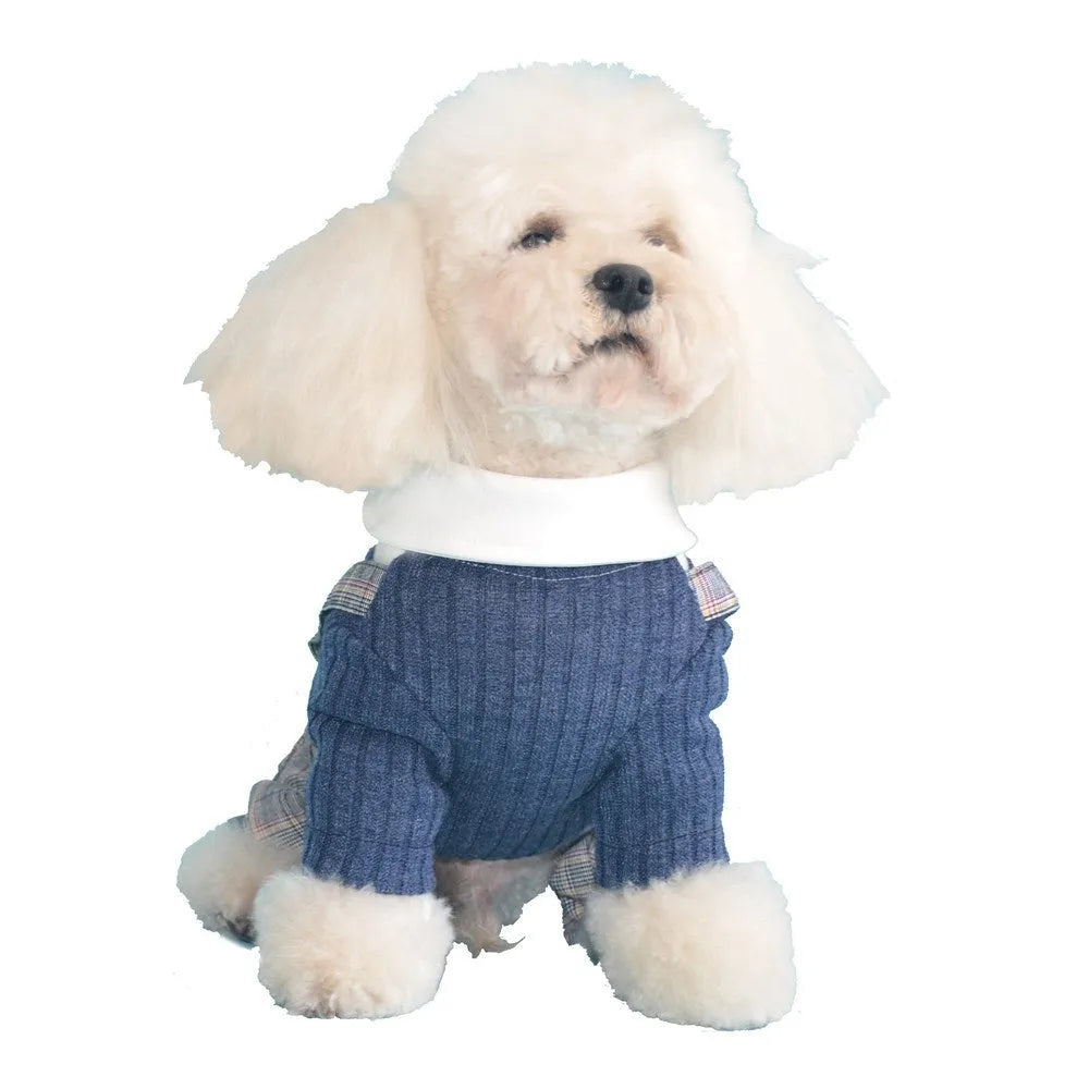 Orange and dark blue cotton dog shirt suit for small dogs on a hanger