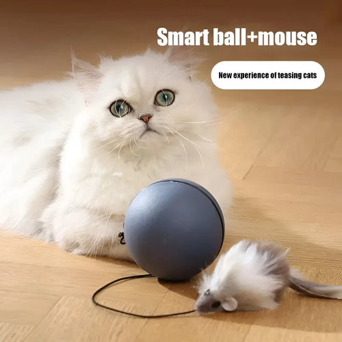 Automatic cat teasing ball toy with plush mouse attachment in blue orange and dark grey colour options