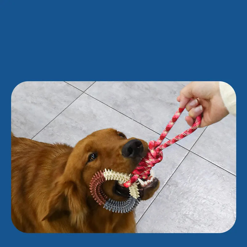 Blue braided rope pet toy with puppy knot design for biting and chewing