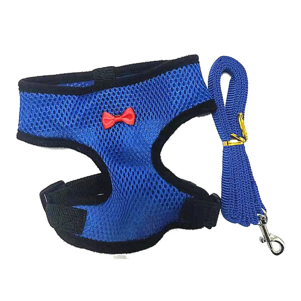 Poultry clothing set with chicken vest, matching collar and 110cm traction rope in multiple colour options