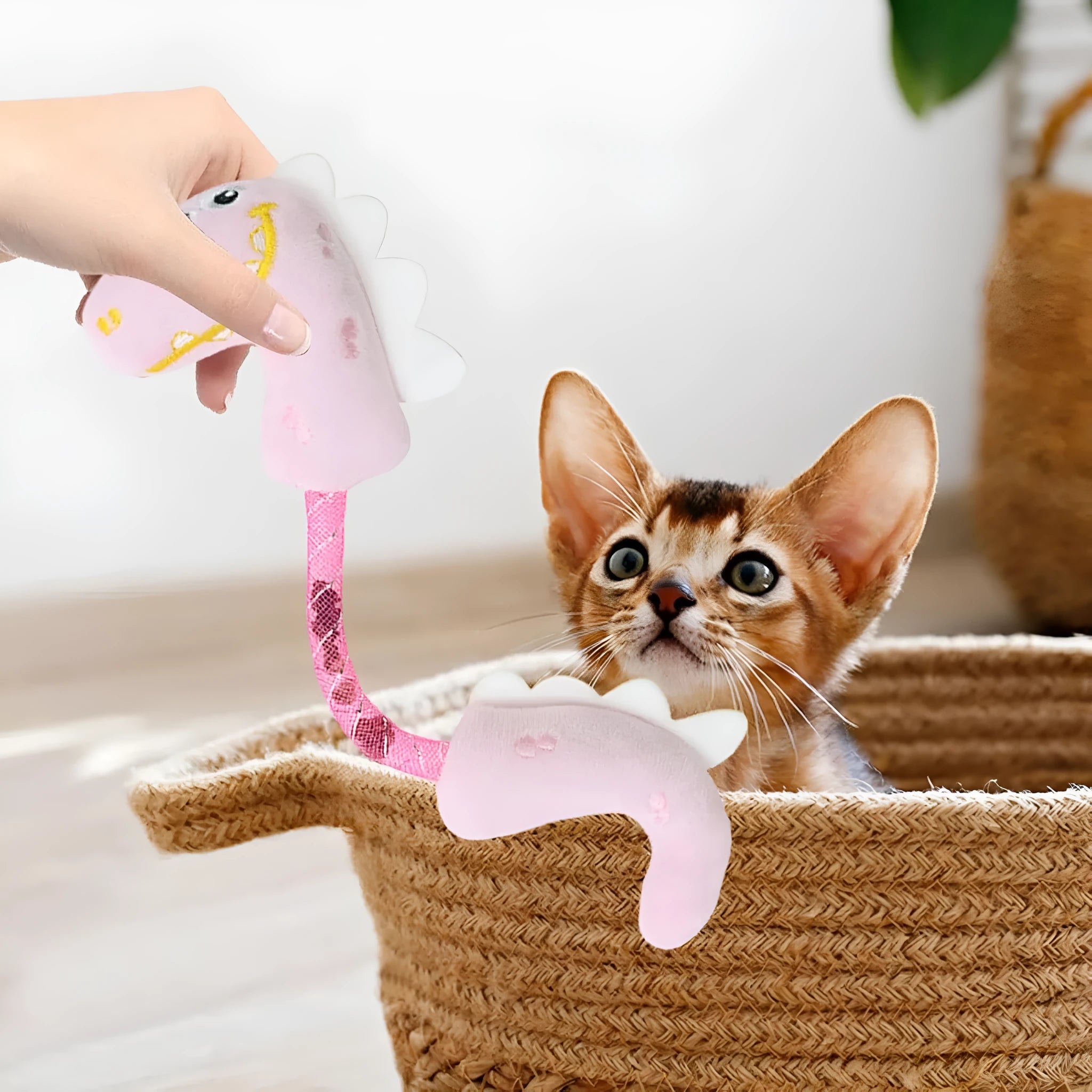 Bundle of four cat toys including rope, springs and kicker toy in pink, purple or yellow