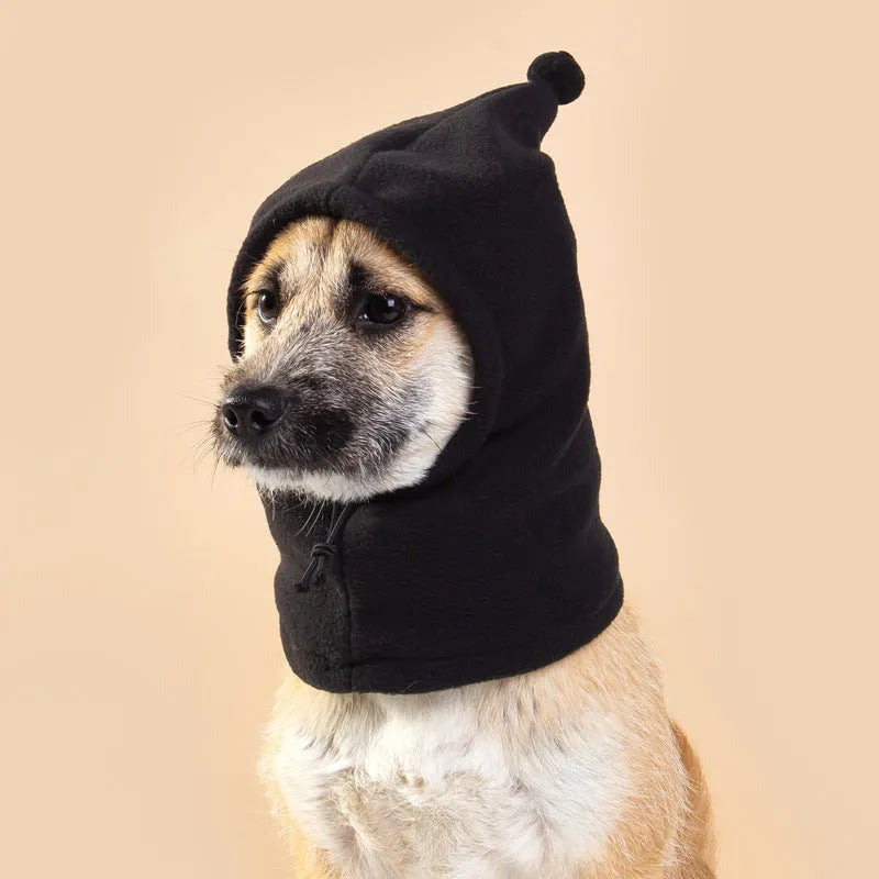 Pet wearing cloth headgear with combined bear and rabbit ears in leopard print colour