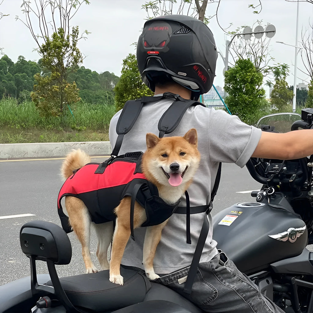 Multifunctional soft Oxford cloth pet backpack in black and red, shown as an adjustable airborne walking stretcher carrier.