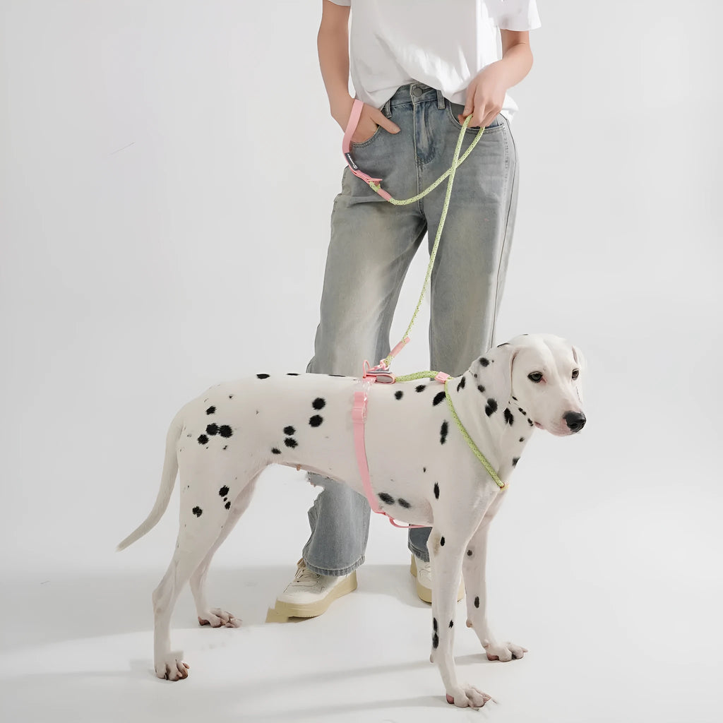 Dark Red Purple Yellow PVC dog hand holding rope leash showing 120cm length.