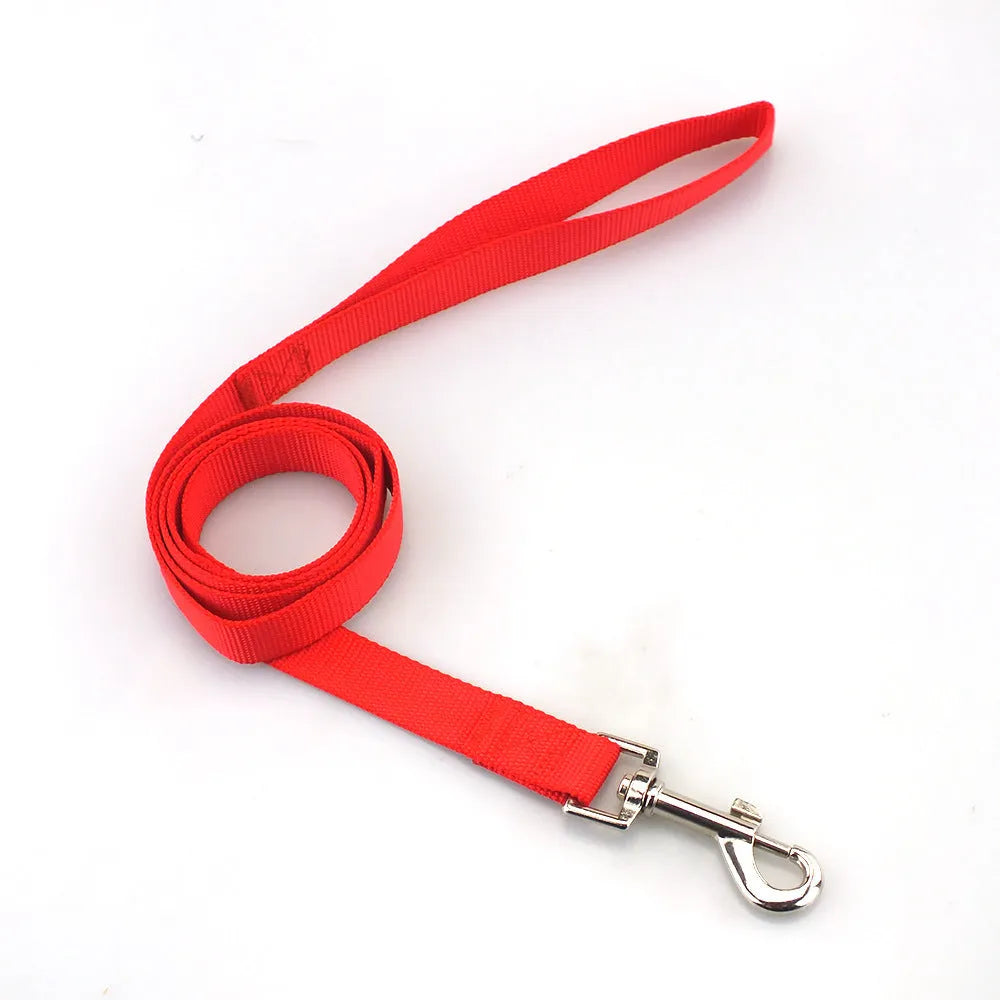 Solid colour nylon dog lead rope in blue, shown with a 120cm length and a hand holding it.