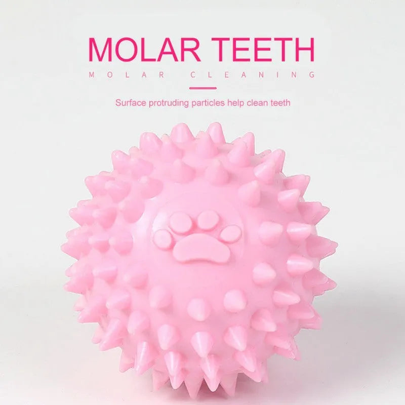 Blue TPR rubber dog chewing ball with footprint design for teeth cleaning