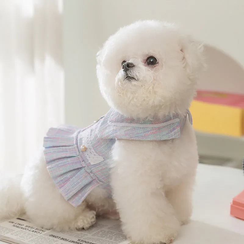 Purple and pink polyester pet clothing for cats and small dogs in four sizes