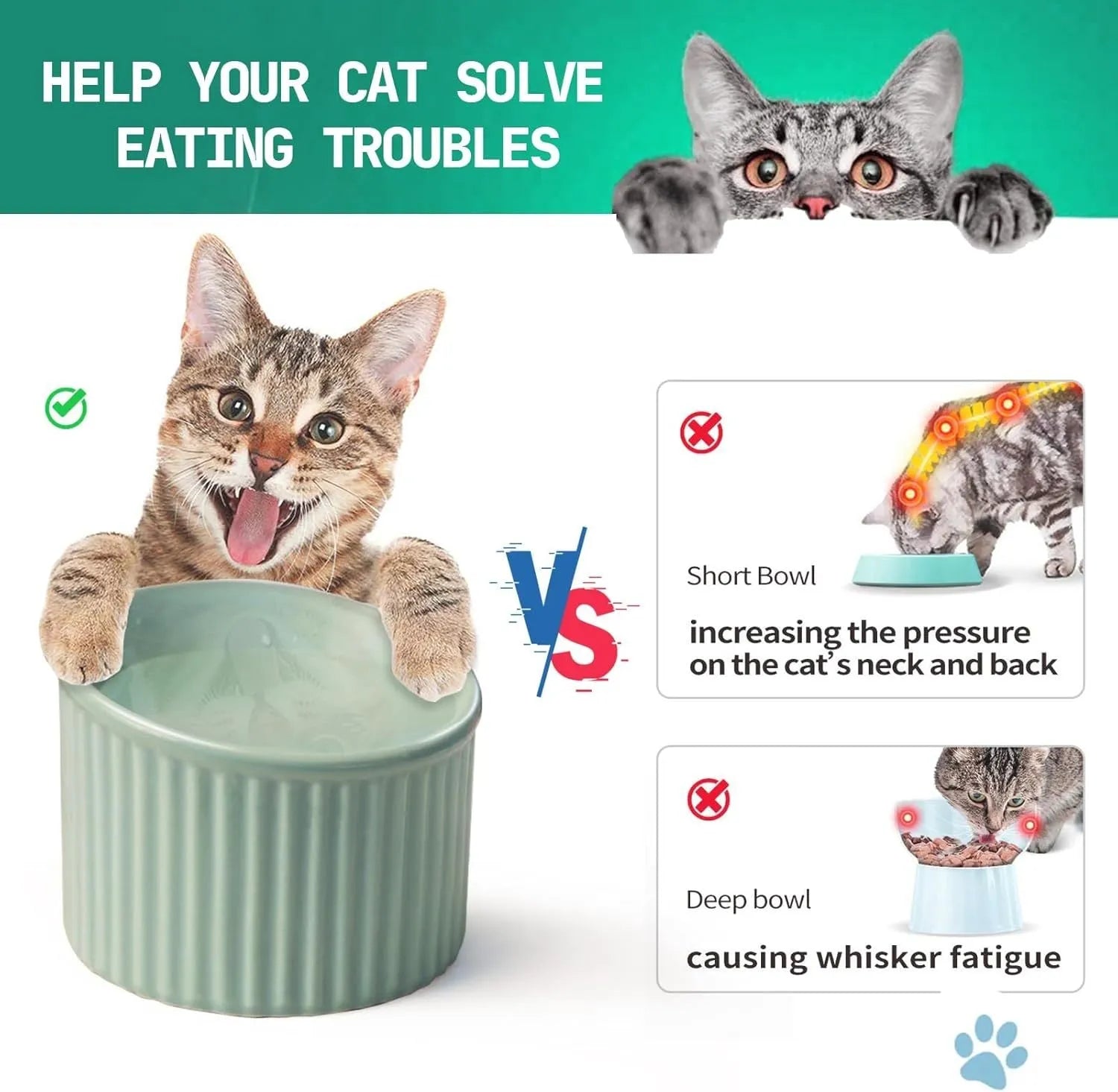 Dark green ceramic elevated cat bowl on a table, showing its raised height and round, tilted shape.