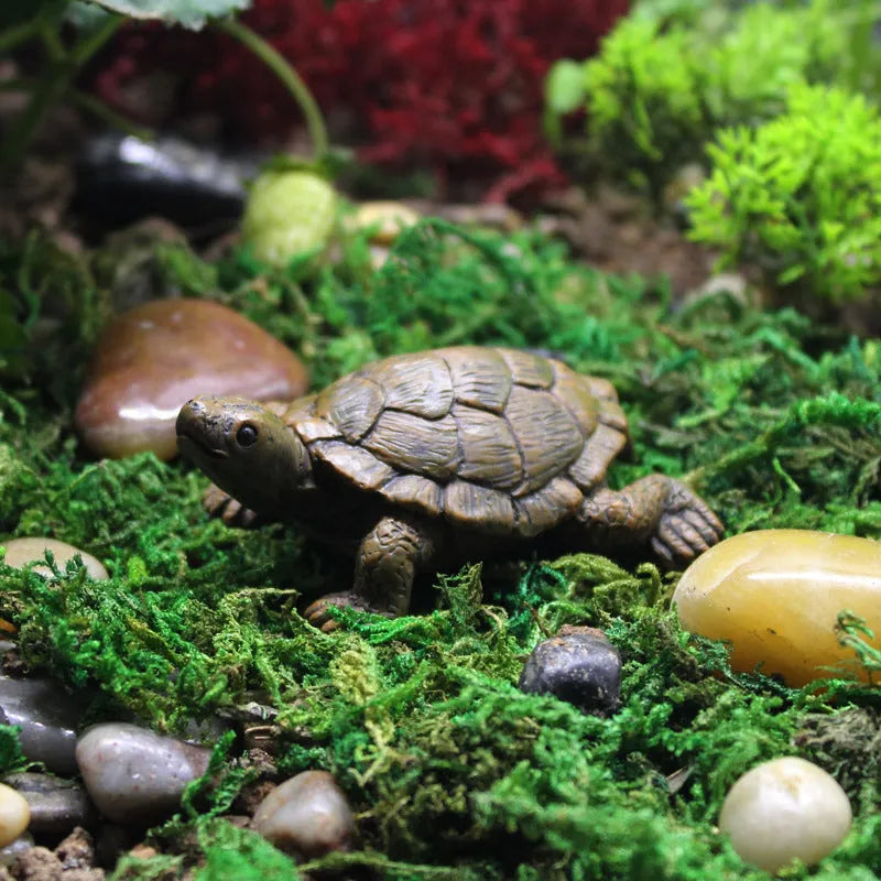 Resin simulation turtle garden ornament for landscaping and micro landscape decoration
