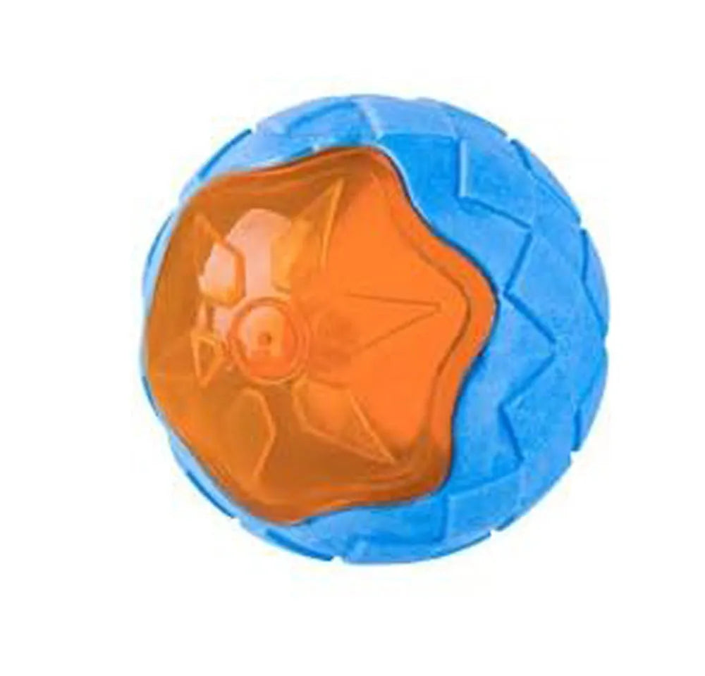 Set of three floating dog toys: a blue squeaky ball, an orange barbell, and red tyres on a beach.