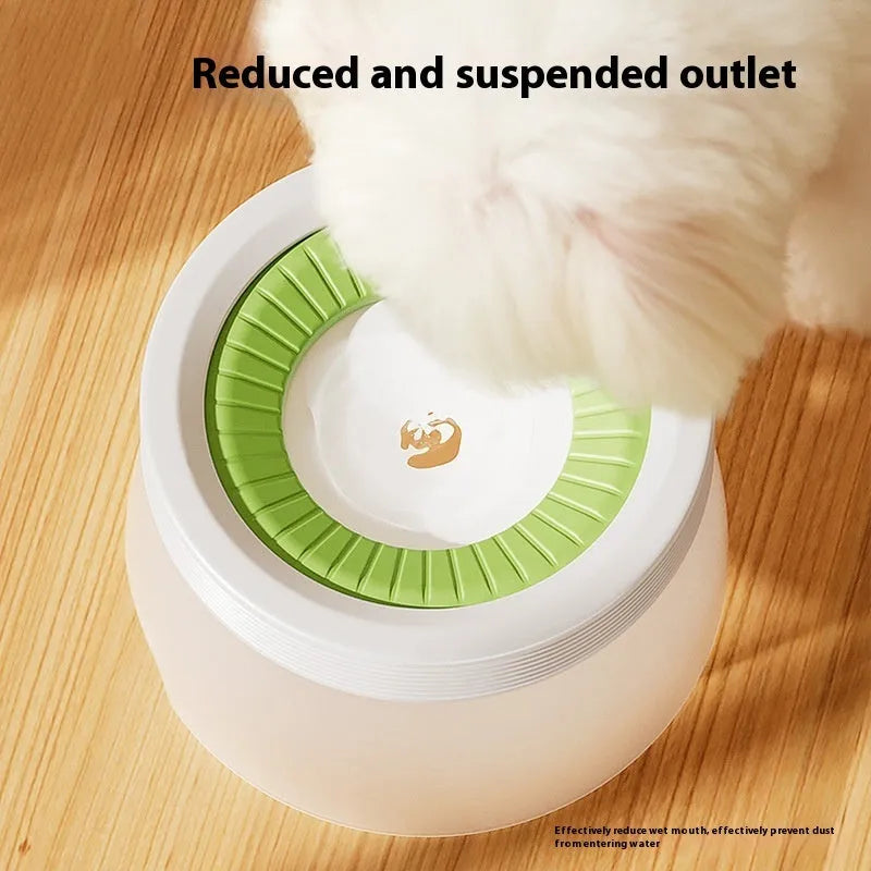 Green pet suspension bowl with non-wet mouth design for cats and dogs on white plate