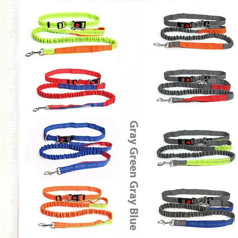 Grey and green two-tone nylon dog leash with reflective threads and an elastic section for outdoor running.
