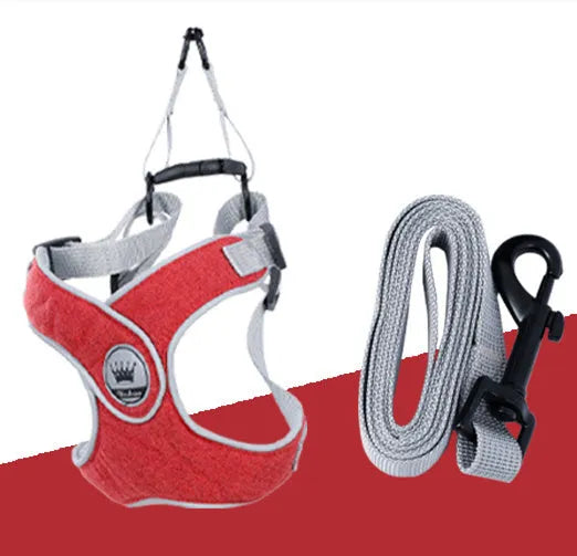Green adjustable mesh dog harness with metal D-ring and attached lead on a white background