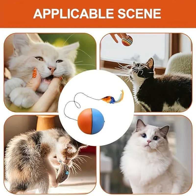 Blue and orange interactive cat toy ball with plush mouse attachment