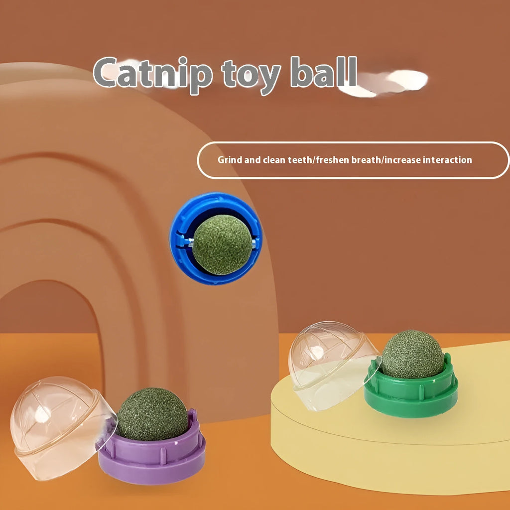 Plastic catnip ball dental toy with cleaning ridges in multiple colour options