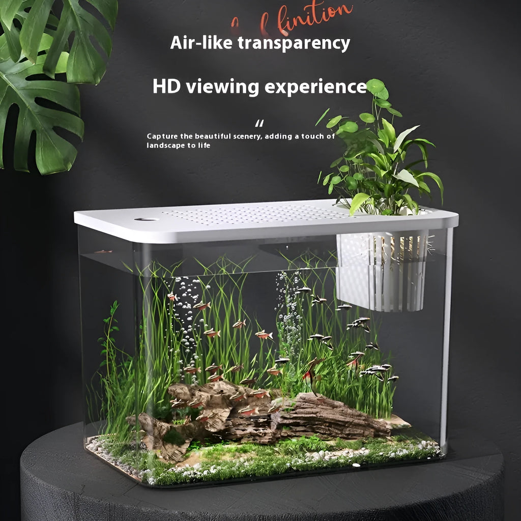 Medium size plastic betta fish tank with lid in black or white colour measuring 32x18.5x23cm
