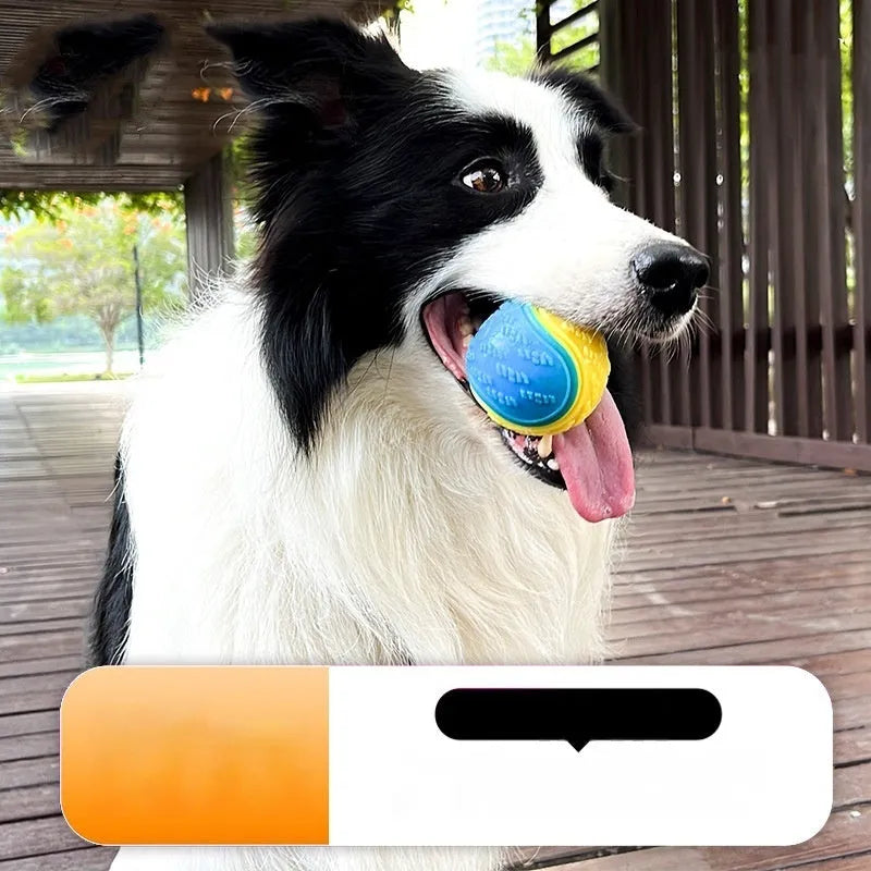TPR rubber dog toy ball with squeaker in assorted colour combinations, 6.5cm diameter