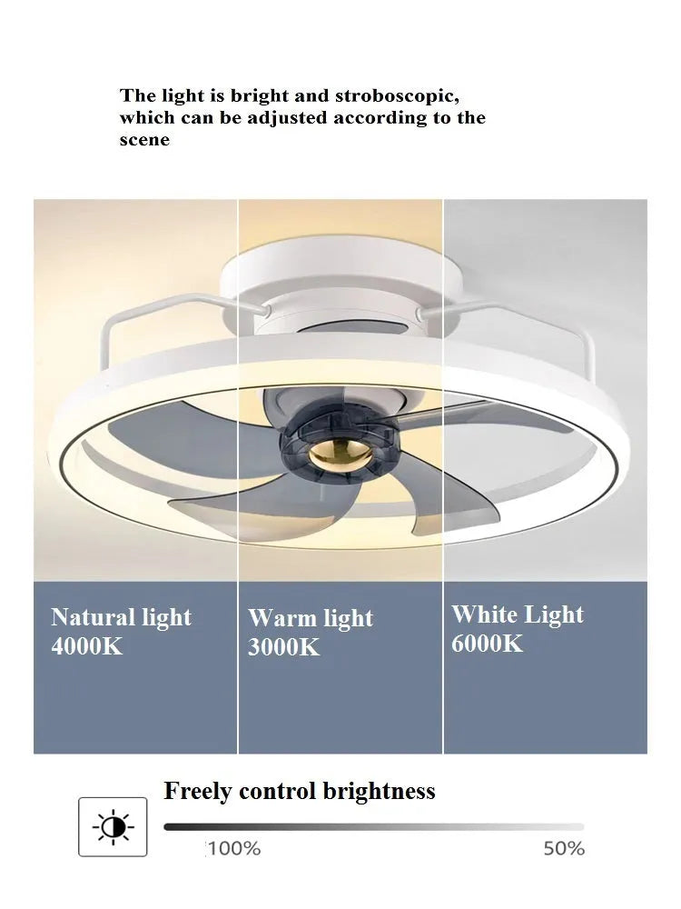 Modern white ceiling fan light with acrylic lampshade and five polycarbonate blades.