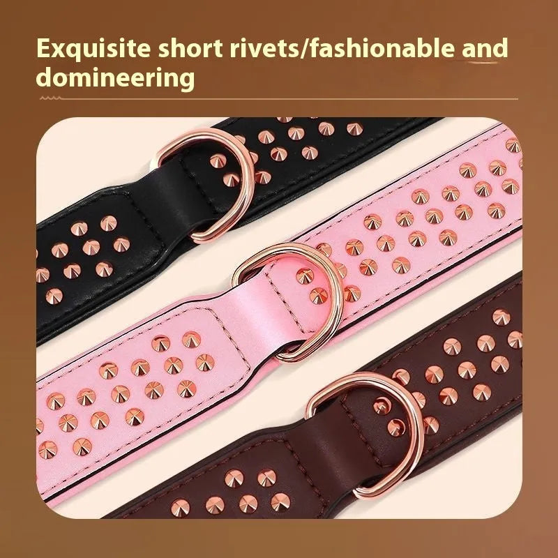 Leather dog collar with metal rivets and a stainless steel D-ring, shown in black, chocolate, and pink colour options.