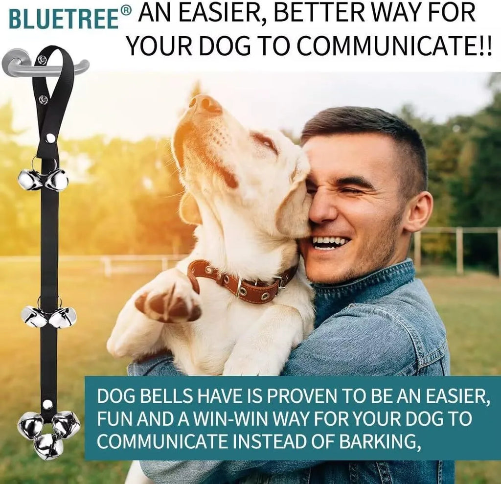 Silver metal dog training bells on an adjustable nylon leash for potty training