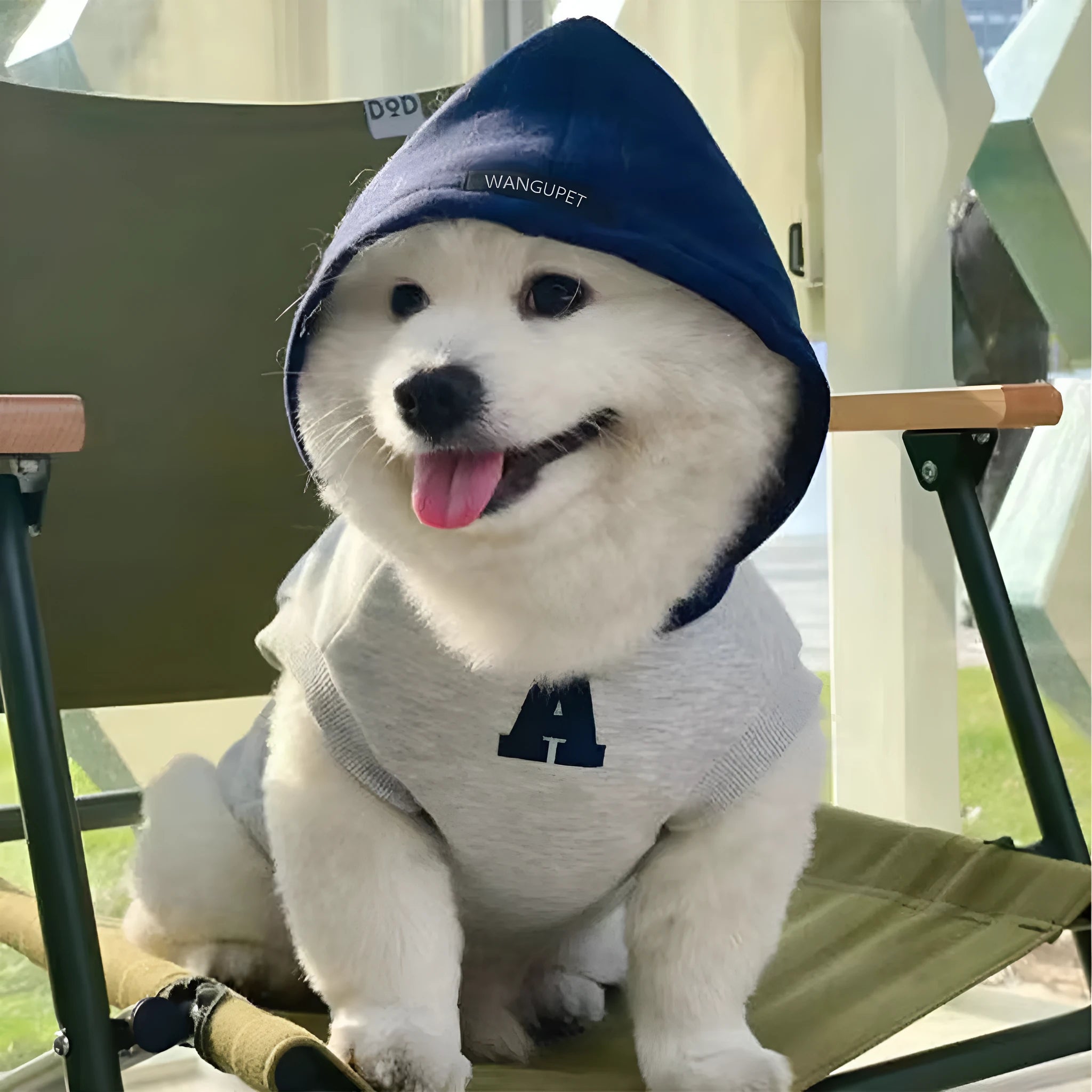 Blue and grey white slim-fitting pet hoodie with reflective letters for a dog or cat.